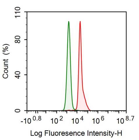 Anti-Pepsinogen A (PGA) Monoclonal Antibody