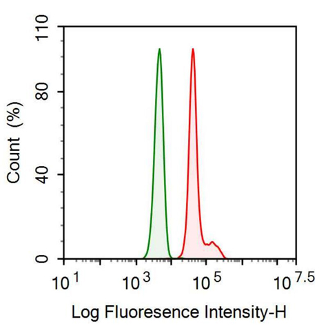 Anti-Galactosidase Alpha (GLa) Monoclonal Antibody