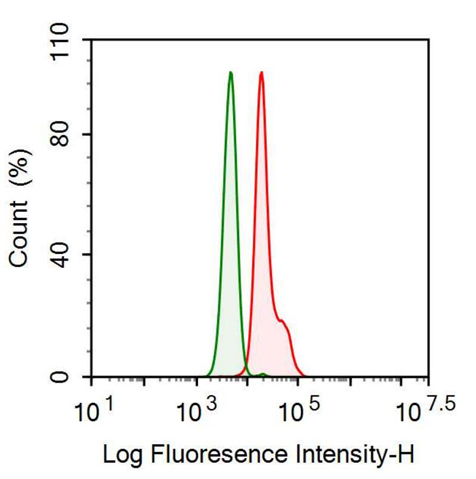 Anti-Galactosidase Alpha (GLa) Monoclonal Antibody