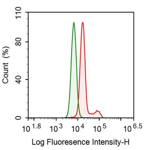 Anti-Transforming Growth Factor Beta 2 (TGFb2) Monoclonal Antibody