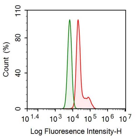 Anti-Transforming Growth Factor Beta 2 (TGFb2) Monoclonal Antibody