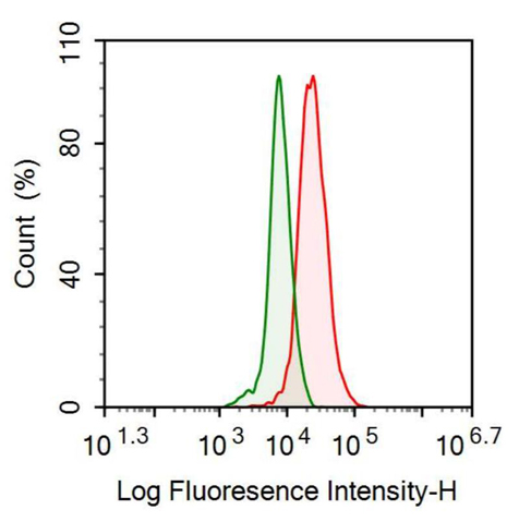 Anti-Apolipoprotein C1 (APOC1) Polyclonal Antibody