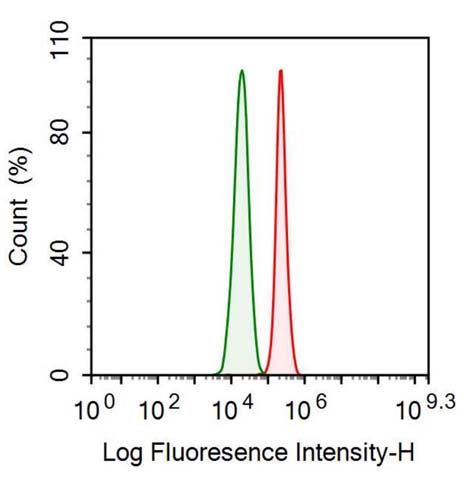 Anti-Inhibin Alpha (INHa) Monoclonal Antibody