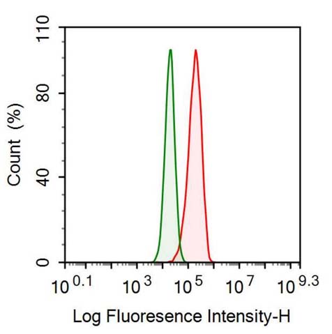 Anti-Inhibin Alpha (INHa) Monoclonal Antibody