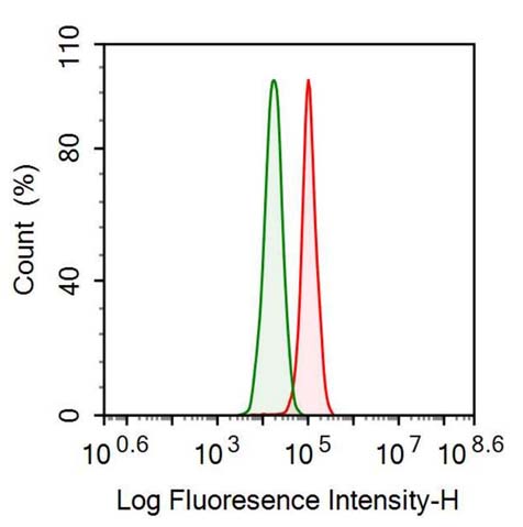 Anti-Inhibin Alpha (INHa) Monoclonal Antibody