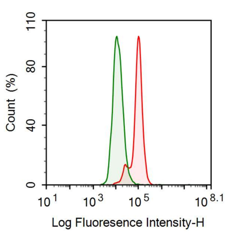 Anti-Sex Hormone Binding Globulin (SHBG) Monoclonal Antibody