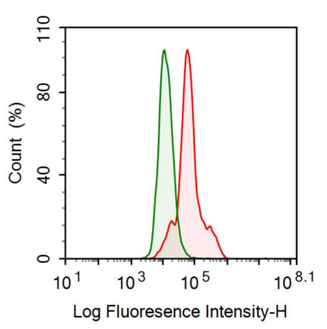 Anti-Sex Hormone Binding Globulin (SHBG) Monoclonal Antibody