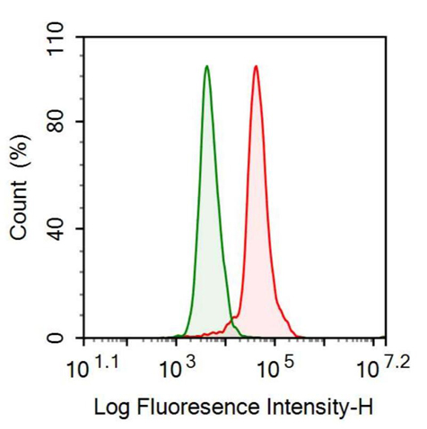 Anti-Neurogranin (NRGN) Monoclonal Antibody