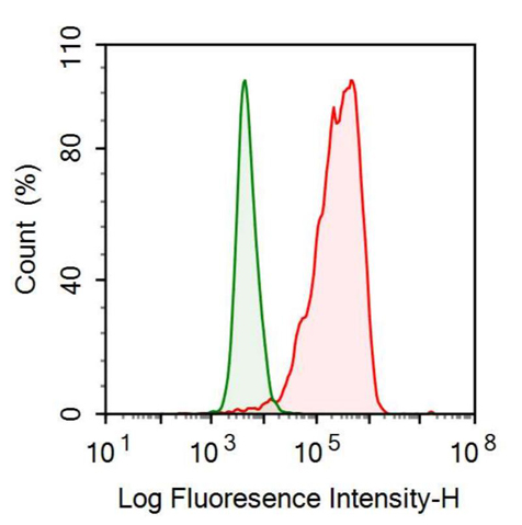 Anti-Neurogranin (NRGN) Monoclonal Antibody