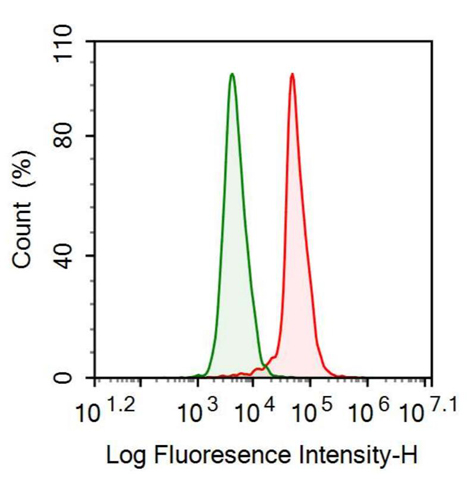 Anti-Neurogranin (NRGN) Monoclonal Antibody
