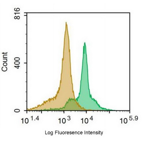 FITC-Linked Anti-Cluster Of Differentiation 55 (CD55) Monoclonal Antibody