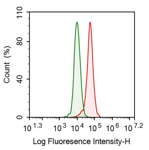 Anti-Tissue Plasminogen Activator (tPA) Monoclonal Antibody