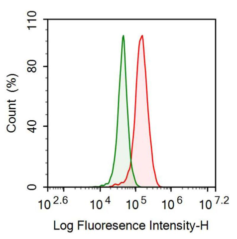 Anti-Platelet Derived Growth Factor Subunit A (PDGFA) Monoclonal Antibody