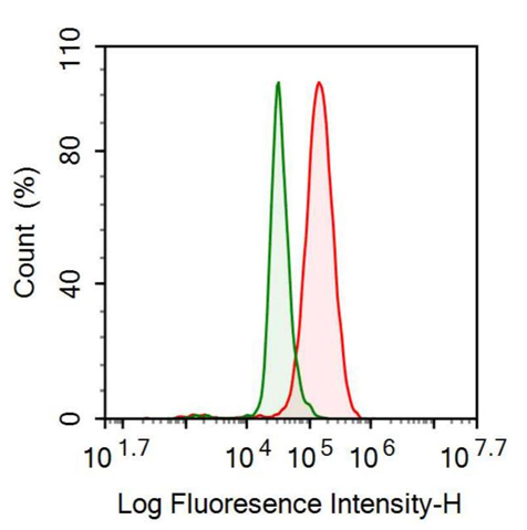 Anti-Brain Natriuretic Peptide (BNP) Polyclonal Antibody