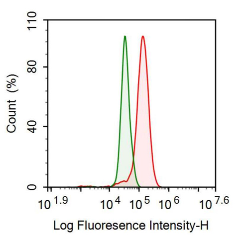 Anti-Brain Natriuretic Peptide (BNP) Monoclonal Antibody
