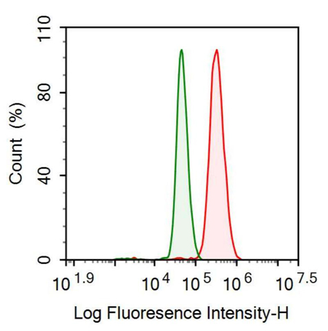 Anti-Brain Natriuretic Peptide (BNP) Monoclonal Antibody