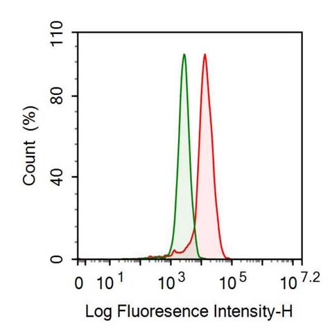 Anti-Matrix Metalloproteinase 9 (MMP9) Monoclonal Antibody