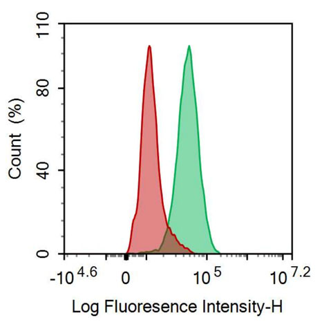 FITC-Linked Anti-Matrix Metalloproteinase 9 (MMP9) Polyclonal Antibody