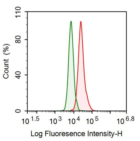 Anti-Proliferating Cell Nuclear Antigen (PCNA) Monoclonal Antibody