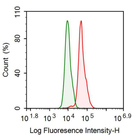 Anti-Adiponectin (ADPN) Monoclonal Antibody