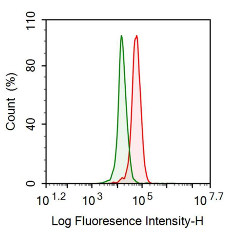 Anti-Interleukin 7 (IL7) Monoclonal Antibody