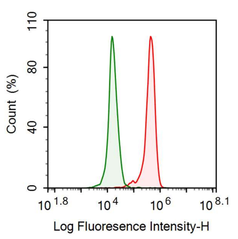 Anti-Interleukin 7 (IL7) Monoclonal Antibody