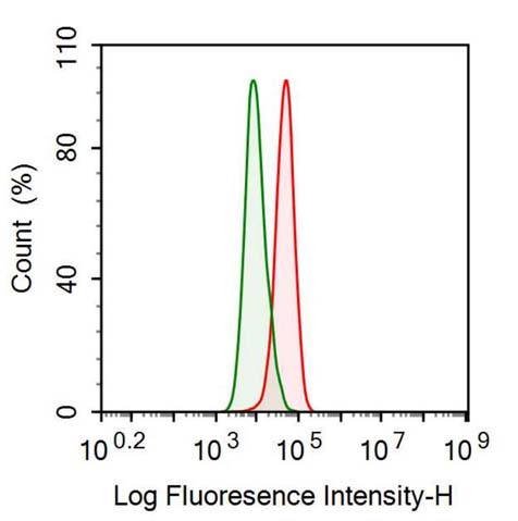 Anti-Toll Like Receptor 2 (TLR2) Monoclonal Antibody