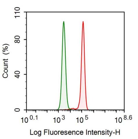 Anti-Thioredoxin (Trx) Monoclonal Antibody