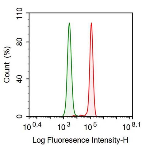 Anti-Thioredoxin (Trx) Monoclonal Antibody