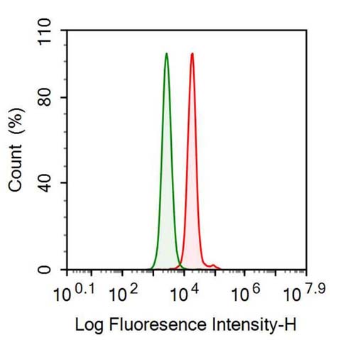 Anti-Thioredoxin (Trx) Monoclonal Antibody