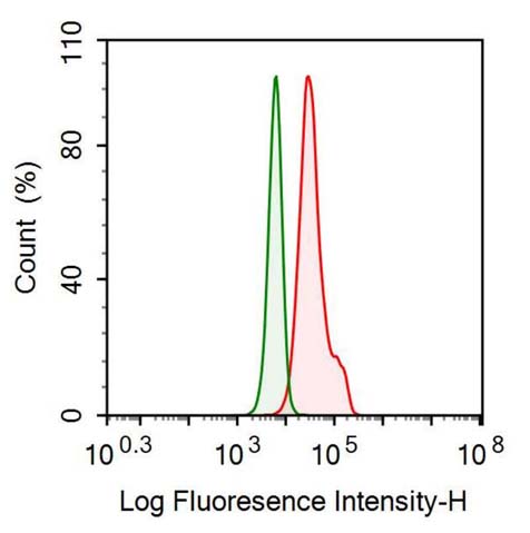 Anti-Apolipoprotein E (APOE) Monoclonal Antibody