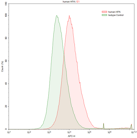 Anti-Heparanase (HPSE) Polyclonal Antibody