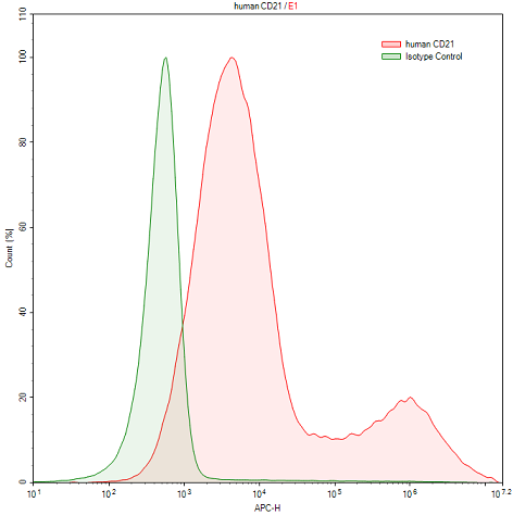 Anti-Complement Receptor 2 (CD21) Polyclonal Antibody