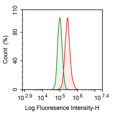 Anti-Osteonectin (ON) Monoclonal Antibody