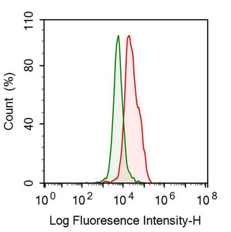 Anti-Haptoglobin (Hpt) Monoclonal Antibody