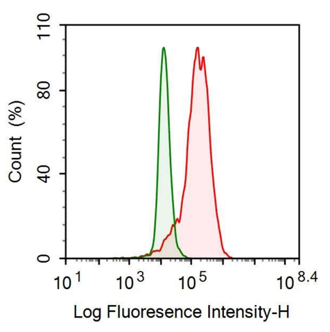 Anti-Coagulation Factor II (F2) Monoclonal Antibody