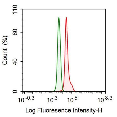 Anti-C Reactive Protein (CRP) Monoclonal Antibody