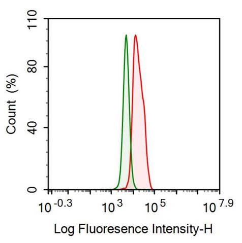 Anti-C Reactive Protein (CRP) Monoclonal Antibody