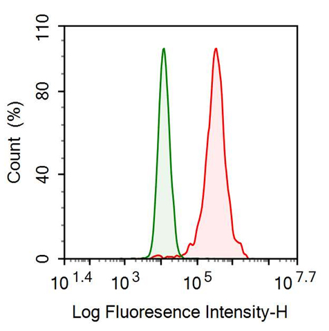 Anti-Nitric Oxide Synthase 2, Inducible (NOS2) Monoclonal Antibody