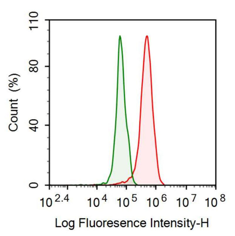 Anti-Inhibin Beta A (INHbA) Monoclonal Antibody