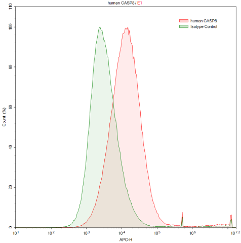 Anti-Caspase 8 (CASP8) Polyclonal Antibody