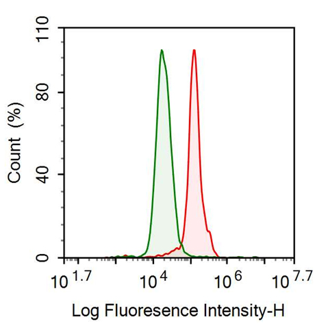 Anti-Chemerin (CHEM) Monoclonal Antibody
