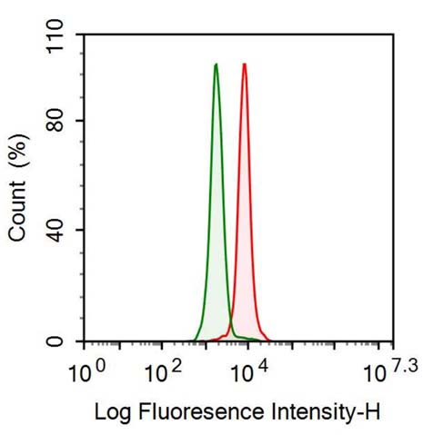 Anti-Surfactant Associated Protein D (SPD) Monoclonal Antibody