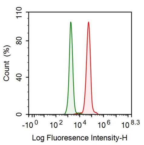 Anti-Surfactant Associated Protein D (SPD) Monoclonal Antibody