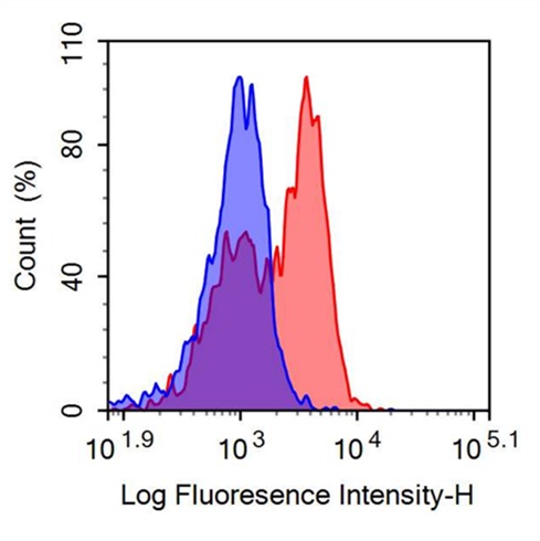 PE-Linked Anti-Tumor Necrosis Factor Receptor Superfamily, Member 7 (TNFRSF7) Polyclonal Antibody