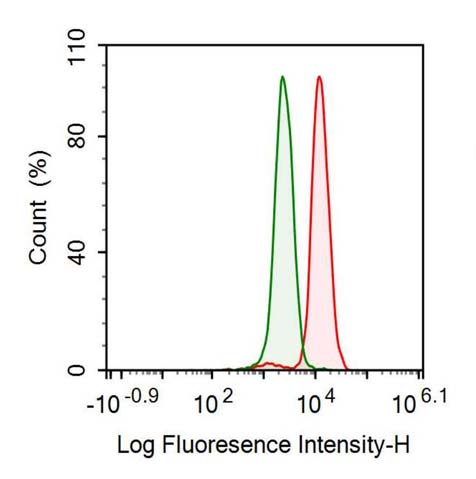 Anti-Heat Shock 70kDa Protein 1A (HSPA1A) Monoclonal Antibody