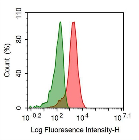 PE-Linked Anti-Motility Related Protein (MRP1) Monoclonal Antibody