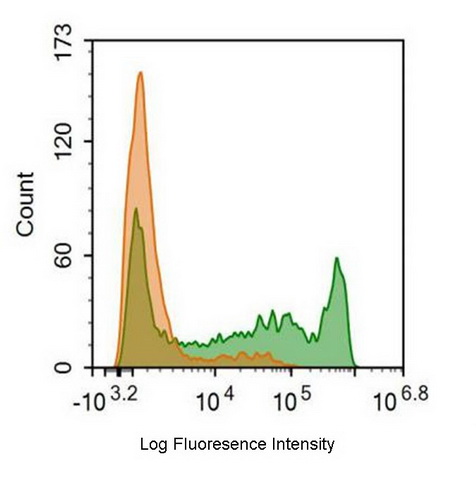 FITC-Linked Anti-Cluster Of Differentiation 8a (CD8a) Monoclonal Antibody