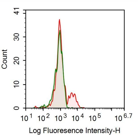 Anti-Sialic Acid Binding Ig Like Lectin 2 (CD22) Monoclonal Antibody