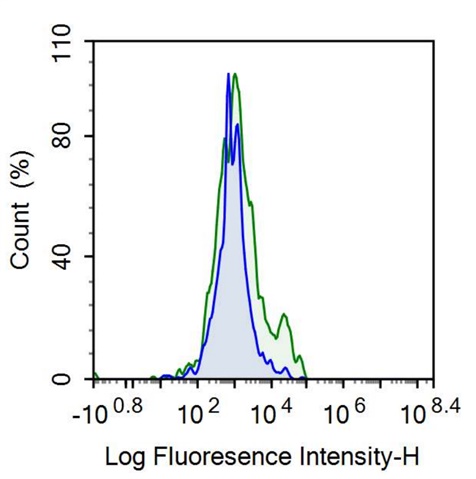 Anti-Membrane Spanning 4 Domains Subfamily A, Member 1 (CD20) Monoclonal Antibody